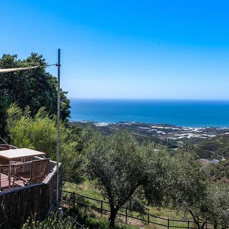 Campo Agave Luxury Tents Sayalonga Eksteriør billede