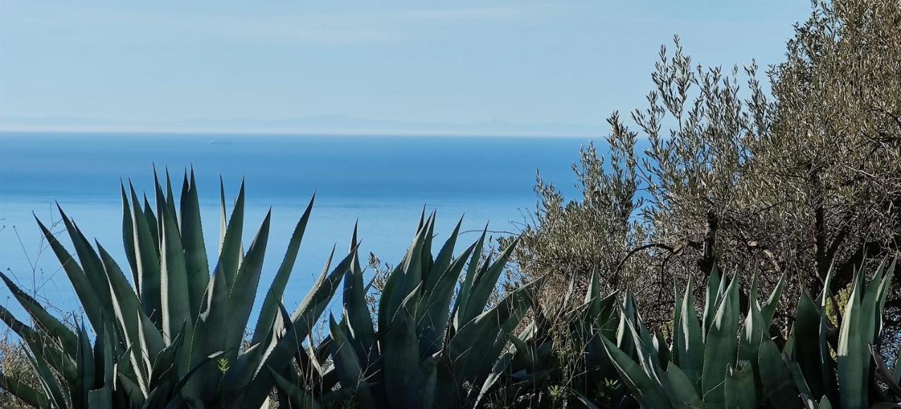 Campo Agave Luxury Tents Sayalonga Eksteriør billede
