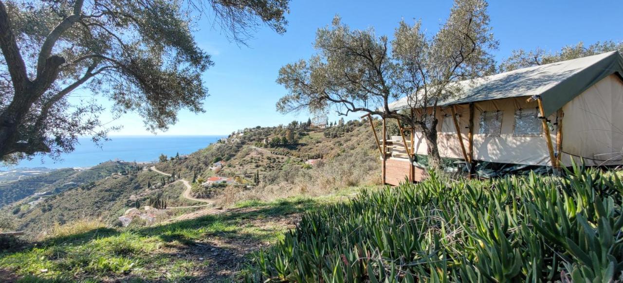 Campo Agave Luxury Tents Sayalonga Eksteriør billede