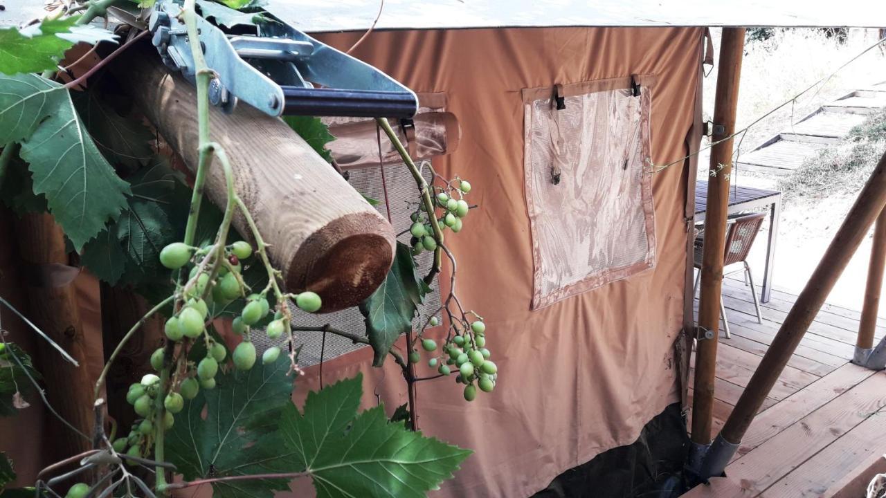 Campo Agave Luxury Tents Sayalonga Eksteriør billede