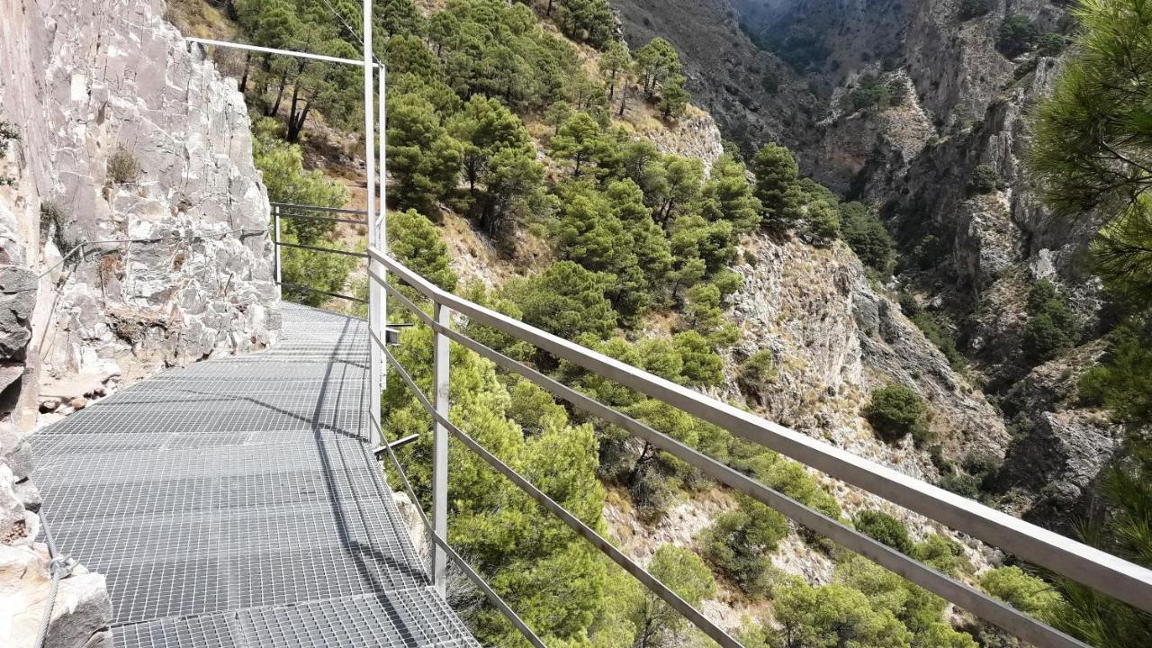 Campo Agave Luxury Tents Sayalonga Eksteriør billede