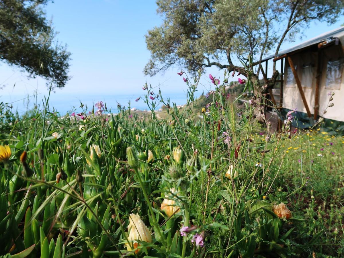 Campo Agave Luxury Tents Sayalonga Eksteriør billede