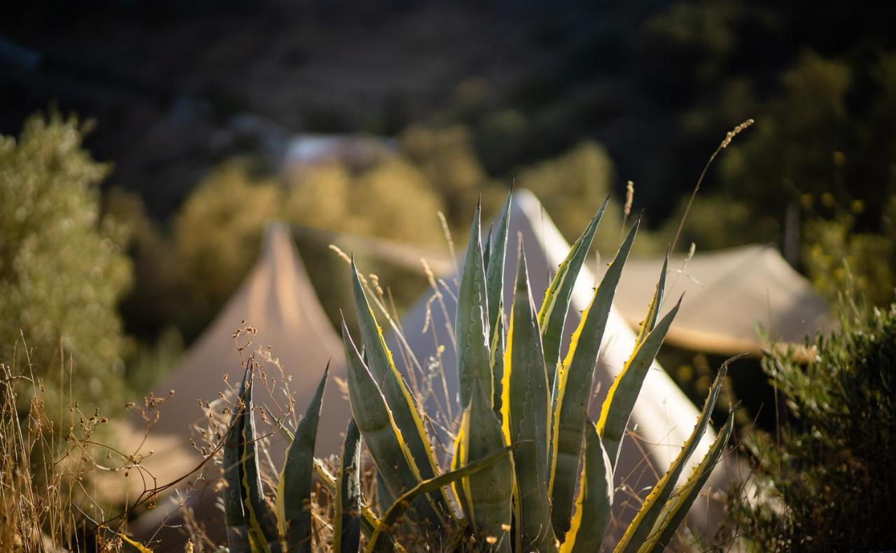 Campo Agave Luxury Tents Sayalonga Eksteriør billede