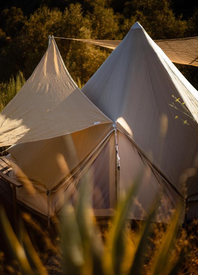 Campo Agave Luxury Tents Sayalonga Eksteriør billede