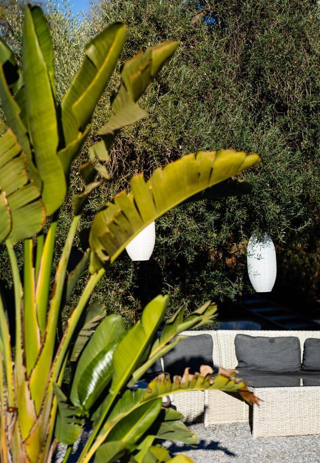 Campo Agave Luxury Tents Sayalonga Eksteriør billede
