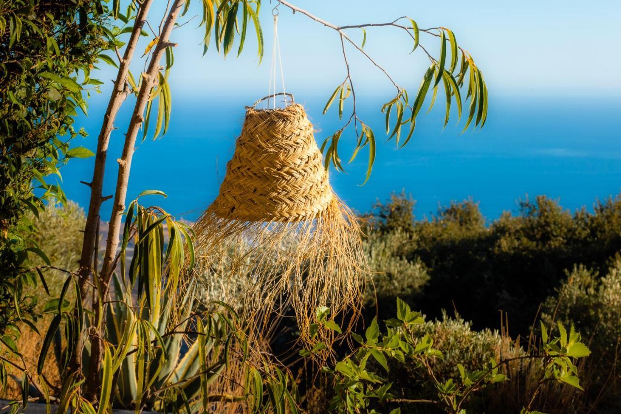 Campo Agave Luxury Tents Sayalonga Eksteriør billede