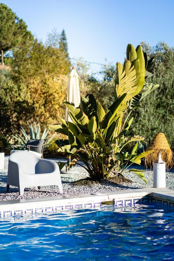 Campo Agave Luxury Tents Sayalonga Eksteriør billede