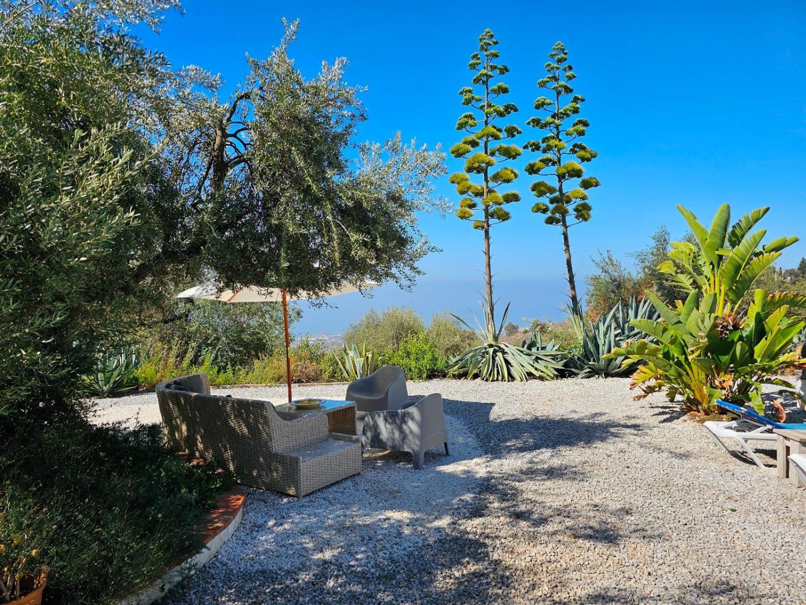 Campo Agave Luxury Tents Sayalonga Eksteriør billede