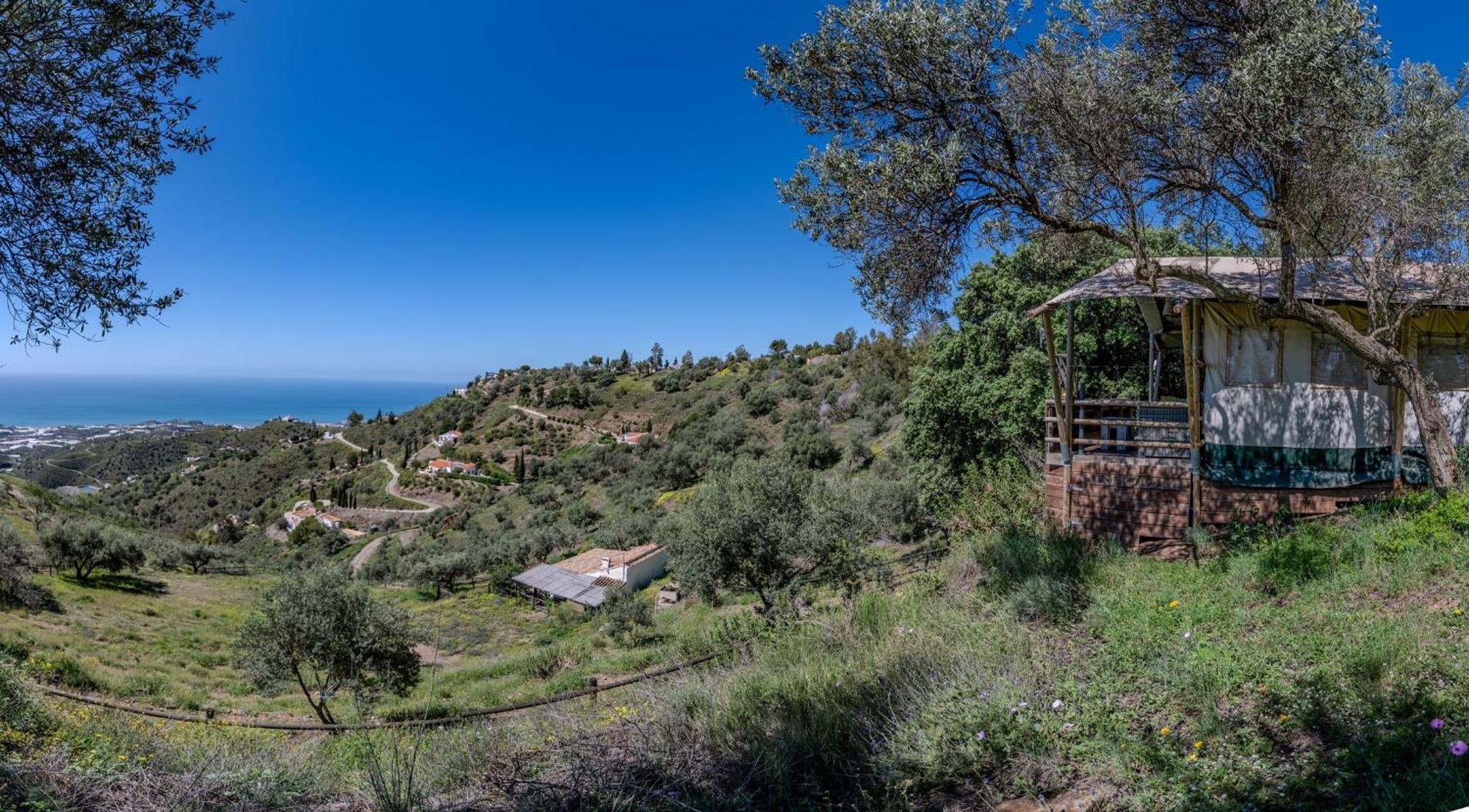 Campo Agave Luxury Tents Sayalonga Eksteriør billede