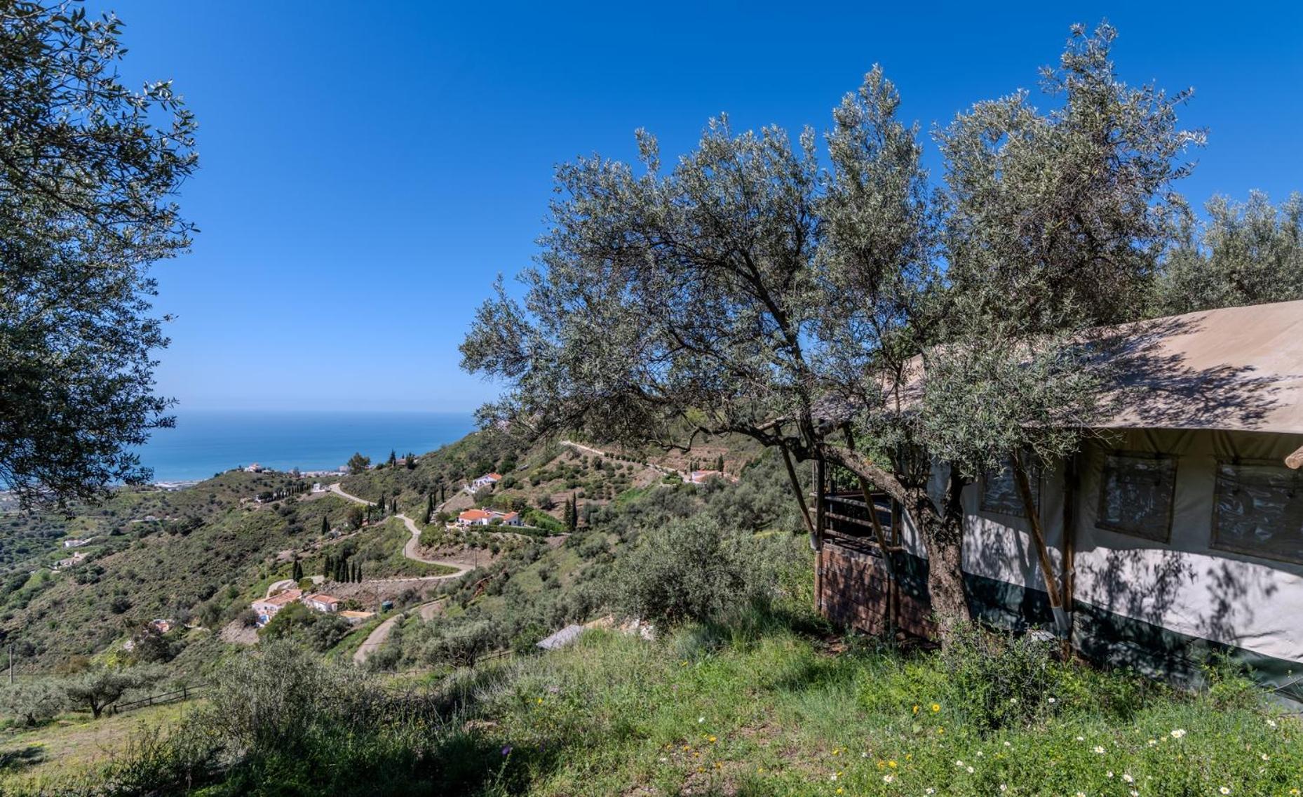 Campo Agave Luxury Tents Sayalonga Eksteriør billede
